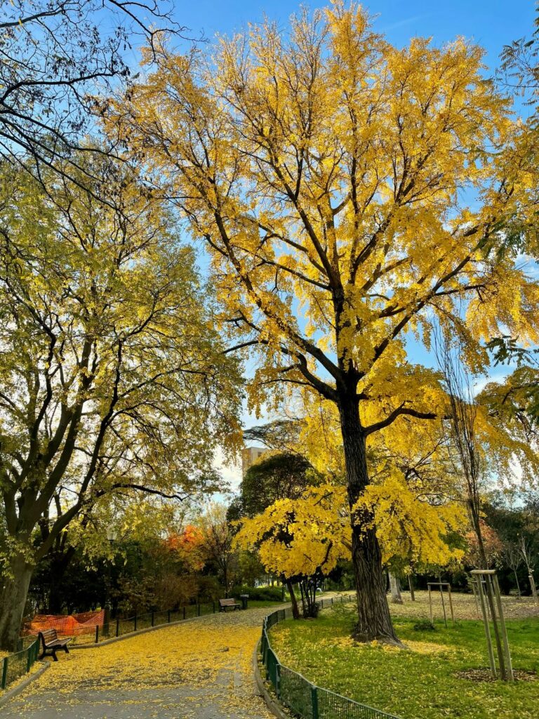 Syndrome de stress post-traumatique (SSPT) : ce que vous devez savoir