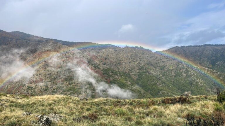 Intelligence relationnelle : retrouver la sécurité intérieure quand comprendre ne suffit plus